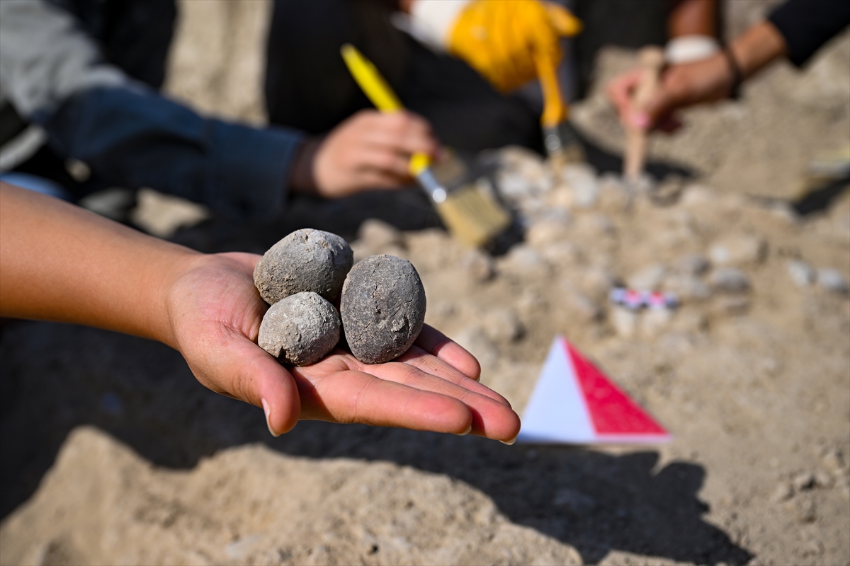 A A 20250905 39026736 39026709 C A V U S T E P E K A L E S I N D E S A V A S L A R D A K U L L A N I L A N S A P A N T A S L A R I B U L U N D U