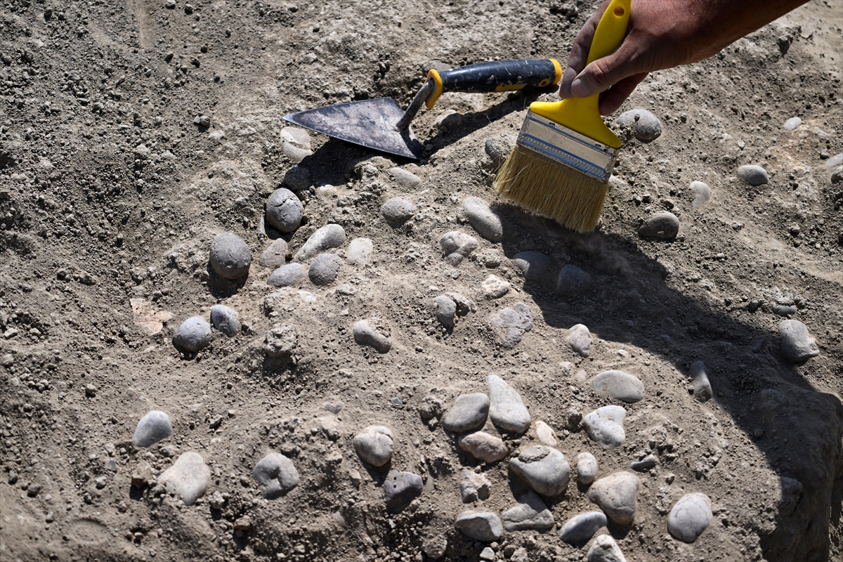 A A 20250905 39026736 39026710 C A V U S T E P E K A L E S I N D E S A V A S L A R D A K U L L A N I L A N S A P A N T A S L A R I B U L U N D U