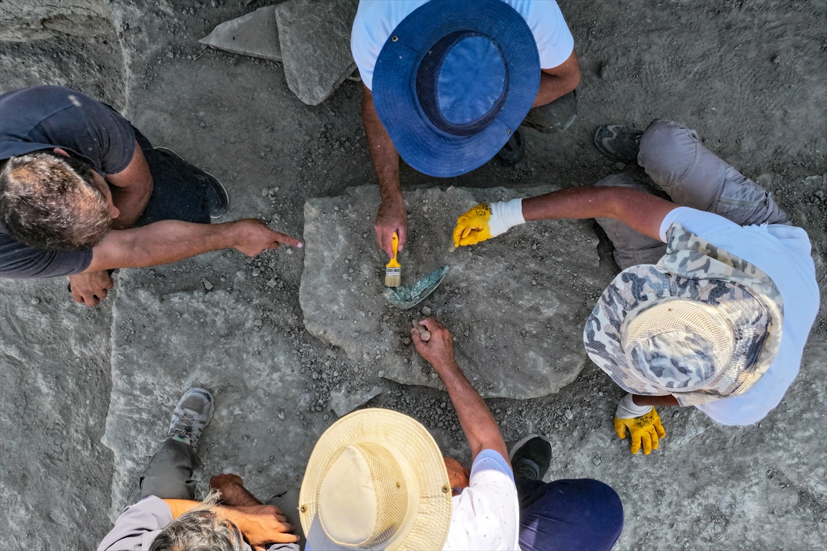 A A 20250905 39026736 39026717 C A V U S T E P E K A L E S I N D E S A V A S L A R D A K U L L A N I L A N S A P A N T A S L A R I B U L U N D U