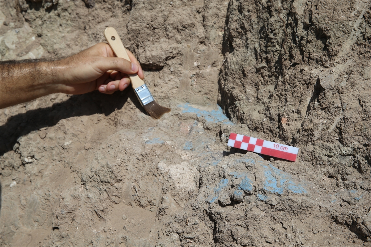 A A 20250907 39043381 39043368 V A N D A K I K E V E N L I K A L E S I K A L I N T I S I N D A C I V I Y A Z I L I 76 P I T H O S O R T A Y A C I K A R I L D I