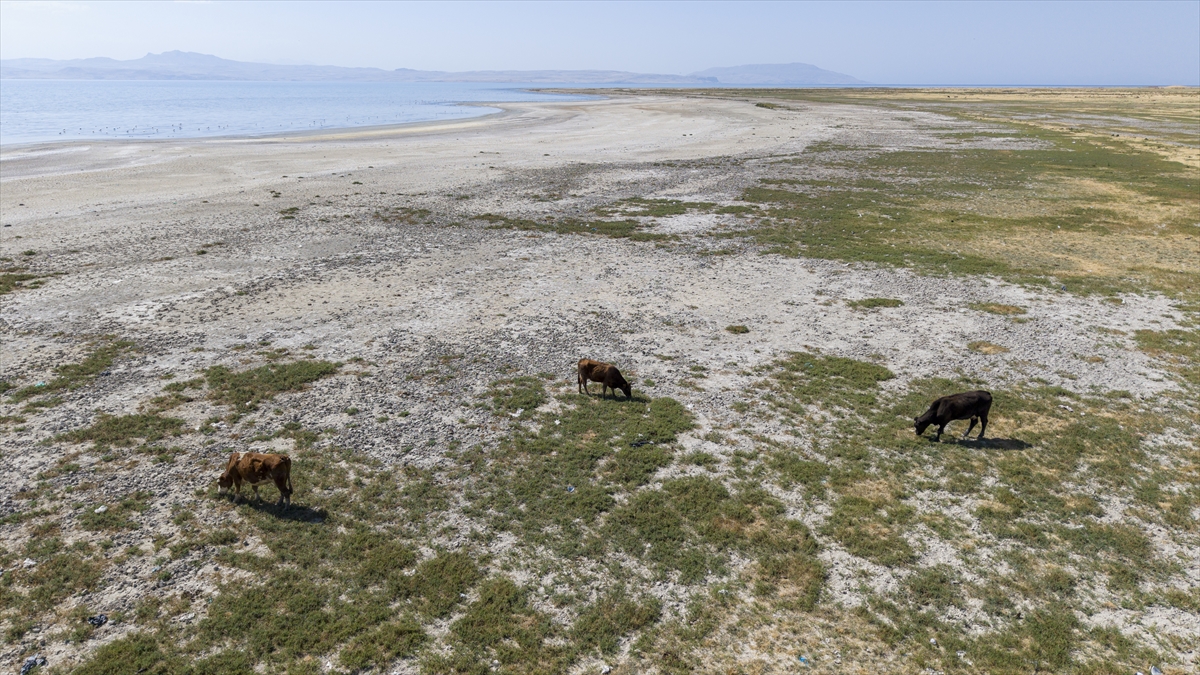 A A 20250911 39081994 39081979 K U R A K L I K V A N G O L U K I Y I L A R I N D A K I F L A M I N G O L A R I N Y A S A M A L A N L A R I N I D A R A L T T I