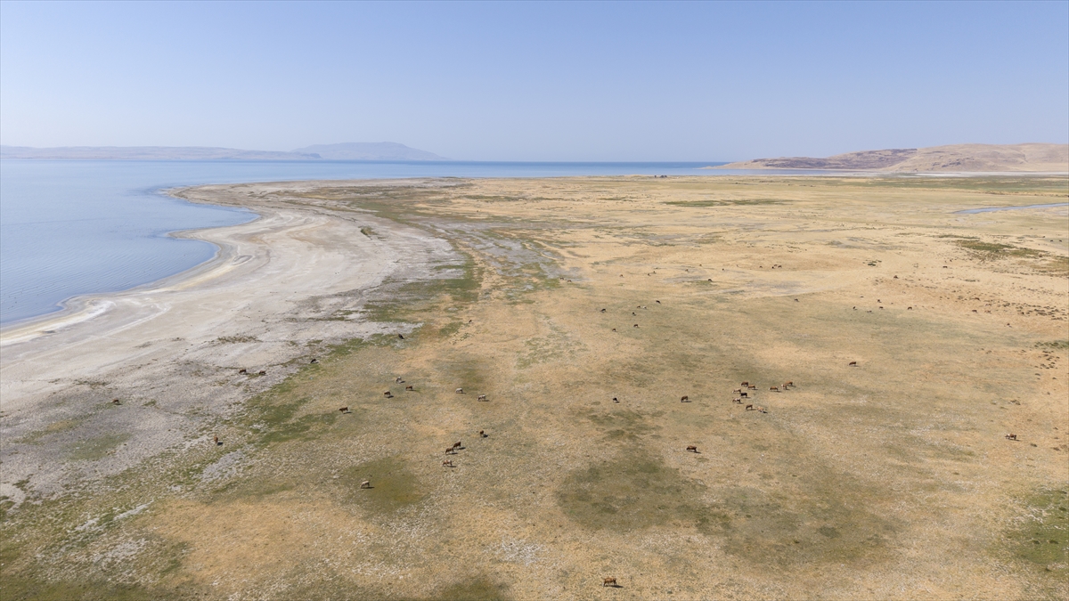 A A 20250911 39081994 39081992 K U R A K L I K V A N G O L U K I Y I L A R I N D A K I F L A M I N G O L A R I N Y A S A M A L A N L A R I N I D A R A L T T I