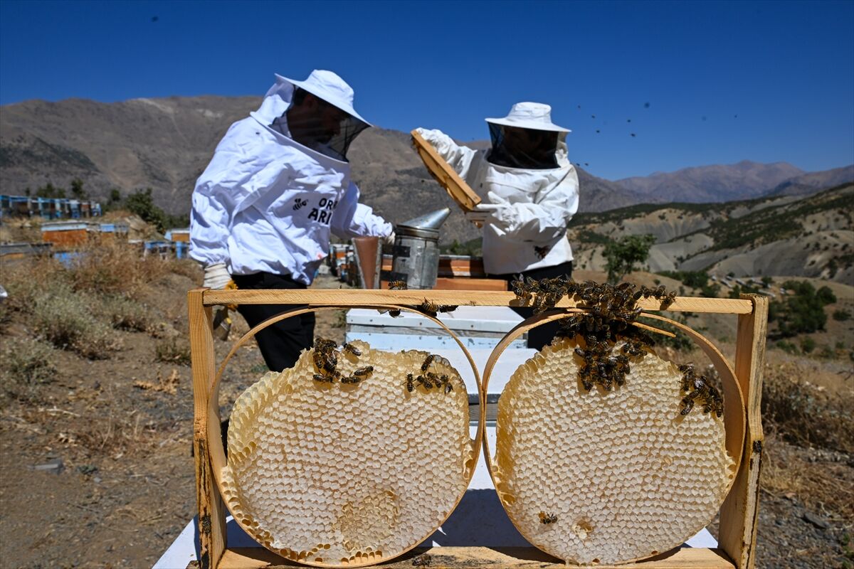 A A 20250915 39118398 39118390 S E H I R H A Y A T I N I B I R A K A R A K 30 K O V A N L A A R I C I L I G A B A S L A Y A N C I F T S I P A R I S L E R E Y E T I S E M I Y O R