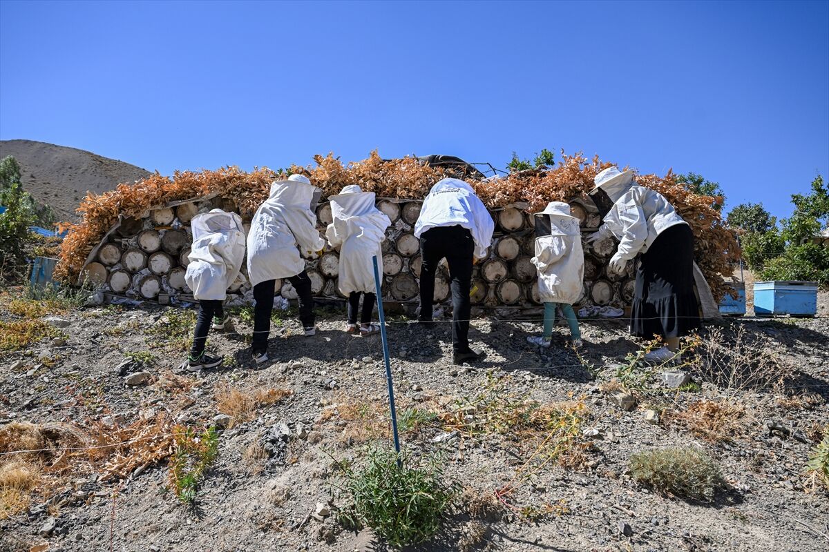 A A 20250915 39118398 39118394 S E H I R H A Y A T I N I B I R A K A R A K 30 K O V A N L A A R I C I L I G A B A S L A Y A N C I F T S I P A R I S L E R E Y E T I S E M I Y O R