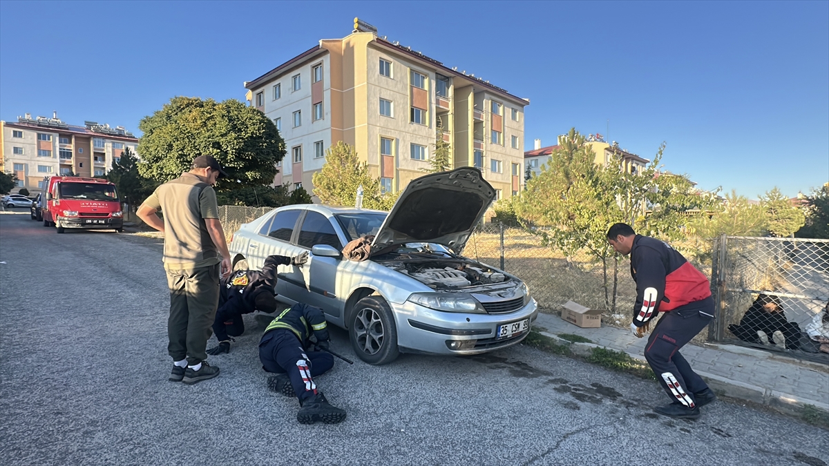 A A 20250923 39199234 39199229 K O P E K L E R D E N K A C A N S U S A M U R U O T O M O B I L I N K A P U T U N A S I G I N D I