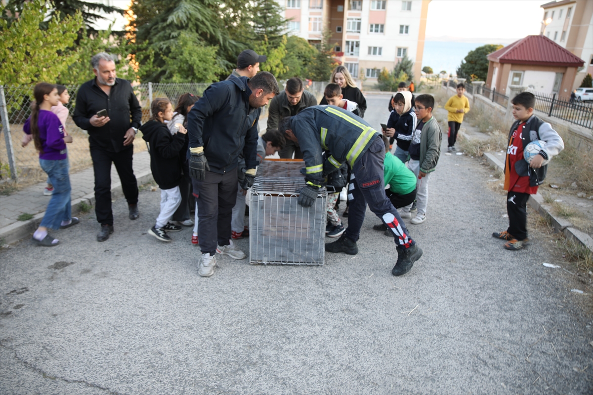 A A 20250923 39199234 39199232 K O P E K L E R D E N K A C A N S U S A M U R U O T O M O B I L I N K A P U T U N A S I G I N D I