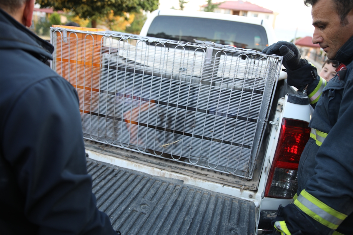 A A 20250923 39199234 39199233 K O P E K L E R D E N K A C A N S U S A M U R U O T O M O B I L I N K A P U T U N A S I G I N D I