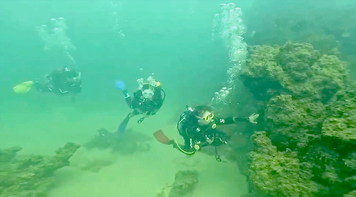 A A 20250923 39200010 39199998 D A L I S D E N E Y I M I Y A S A Y A N C O C U K L A R V A N G O L U N U N D E R I N L I G I Y L E T A N I S T I