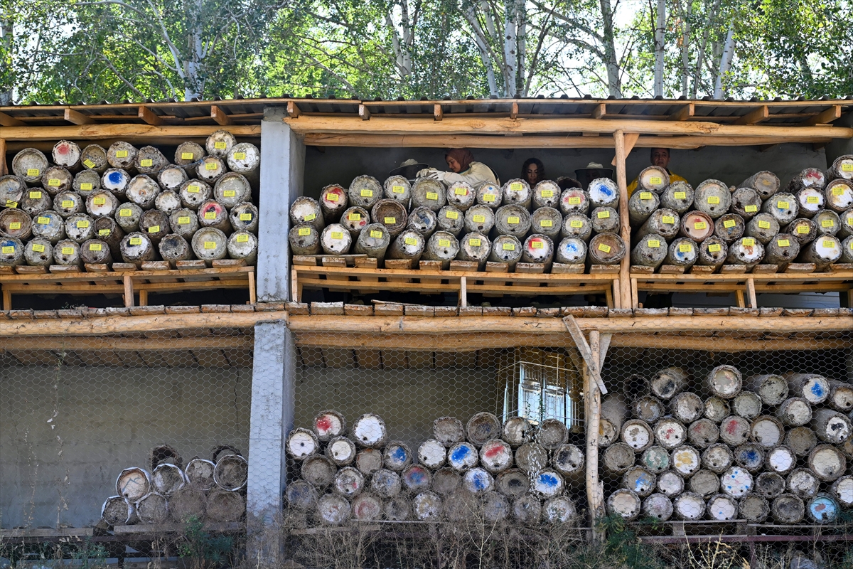 A A 20250928 39248516 39248502 D E V L E T D E S T E G I Y L E A R I C I L I G A B A S L A Y A N K A D I N L A R M E R A D A K A R A K O V A N B A L I U R E T I Y O R