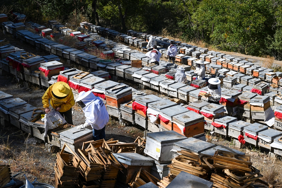 A A 20250928 39248516 39248505 D E V L E T D E S T E G I Y L E A R I C I L I G A B A S L A Y A N K A D I N L A R M E R A D A K A R A K O V A N B A L I U R E T I Y O R