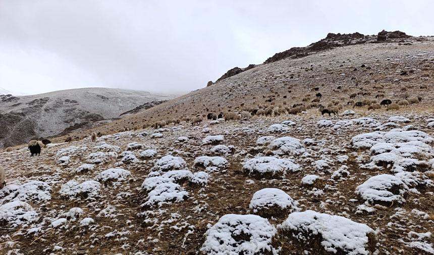 A W F E S G R D T F H G Y J U K H