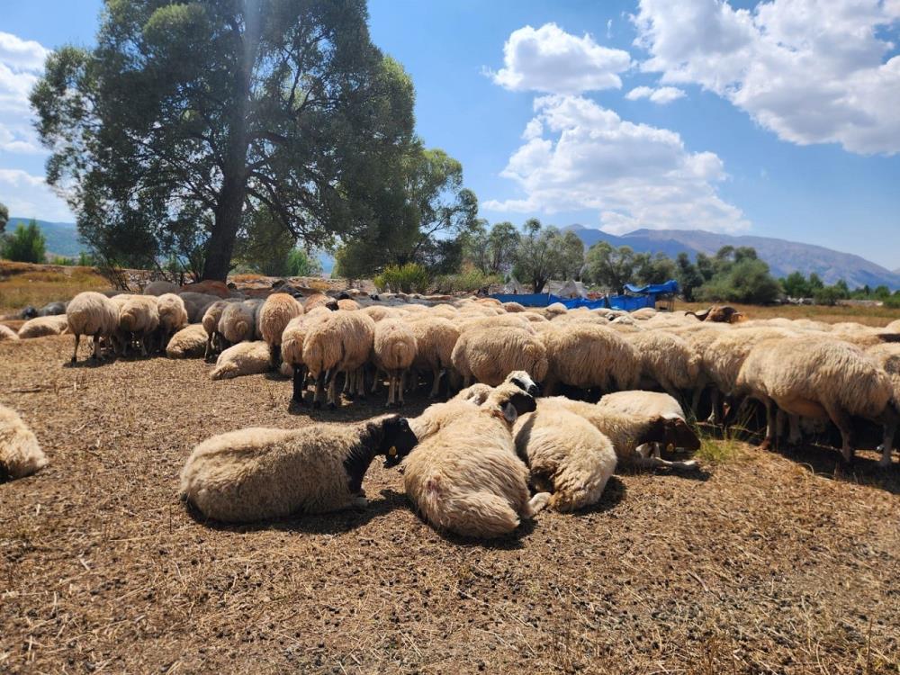 Coban Krizi Buyuyor 2