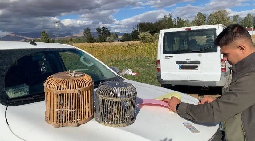 Kafes Avciligi Van 4