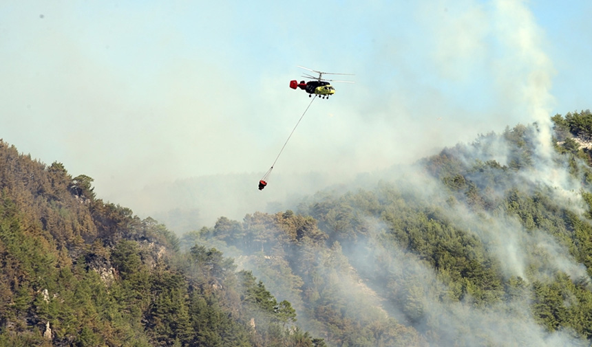 Orman Yangını-15