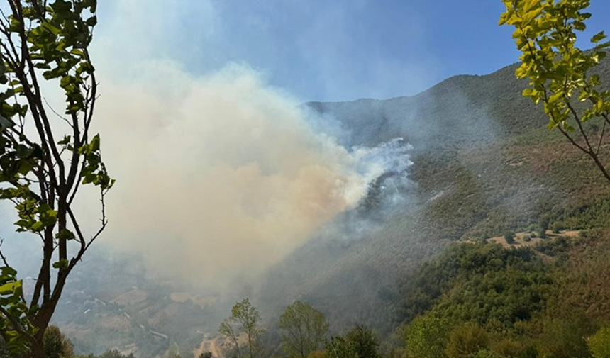 Orman Yangını.jpg1-6