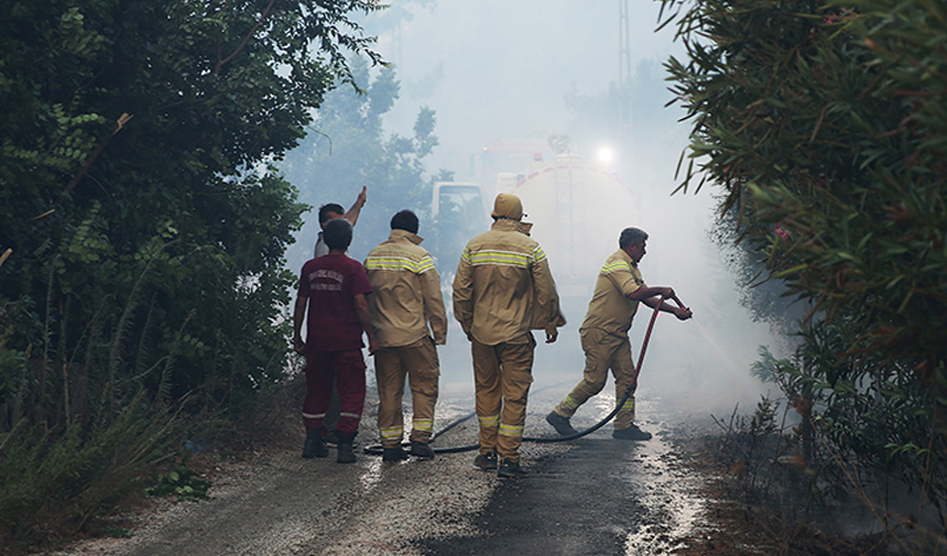Orman Yangını.jpg3-1