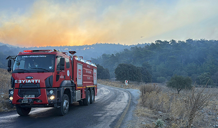 Orman Yangınları.jpg4-2