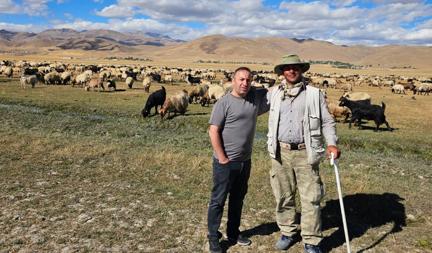 Şap Hastalığı Kontrol