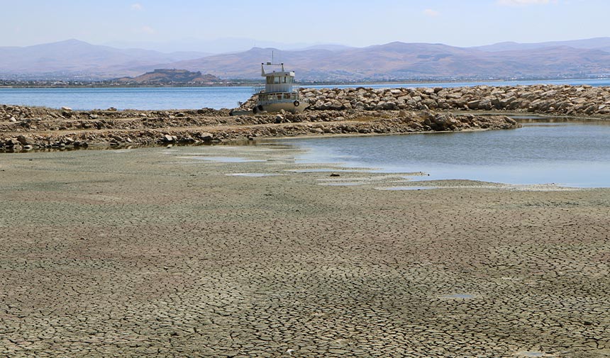 W D A F E S G R D H T F J Y M N