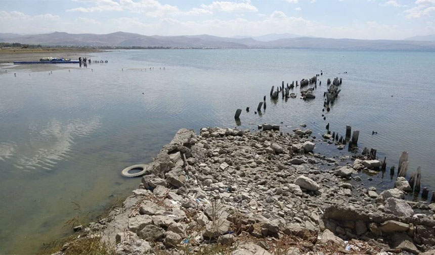 W D F E S G D R H T F J Y G M N