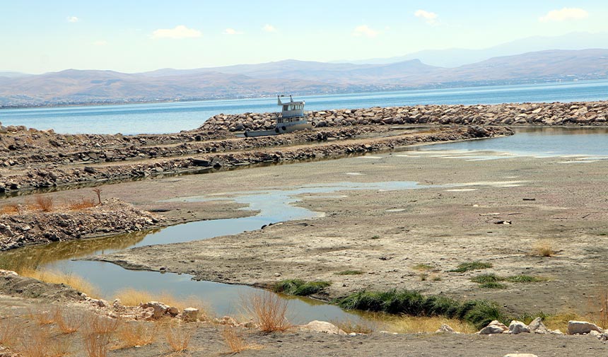 W D F E S G R D H T F Y J G H U K J