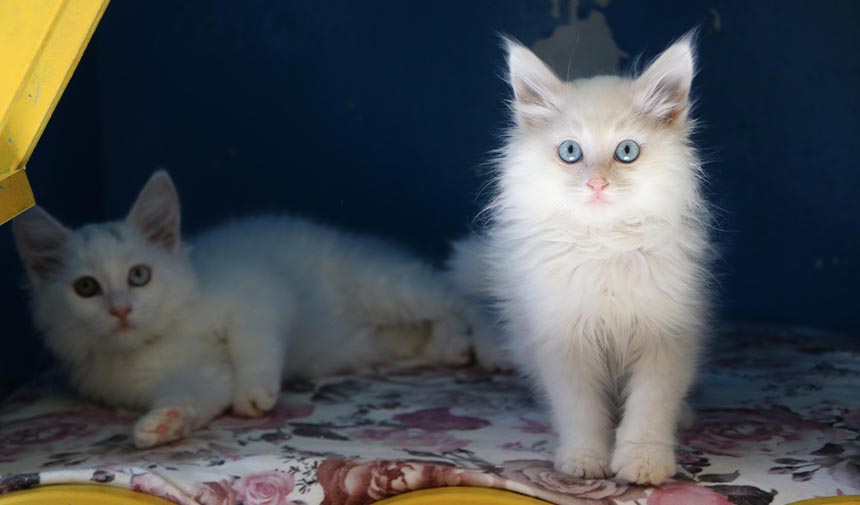 W E G R D H T F J Y G K H U J Ö M N