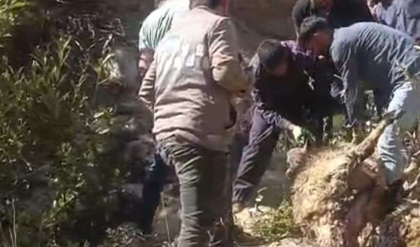 W F E S G R D H T F J Y M K G N