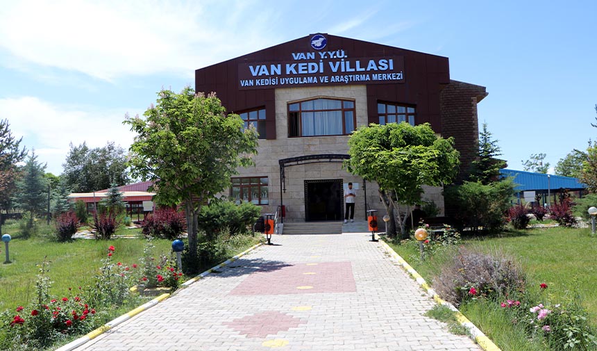 W F S E G D R H F T J G Y H