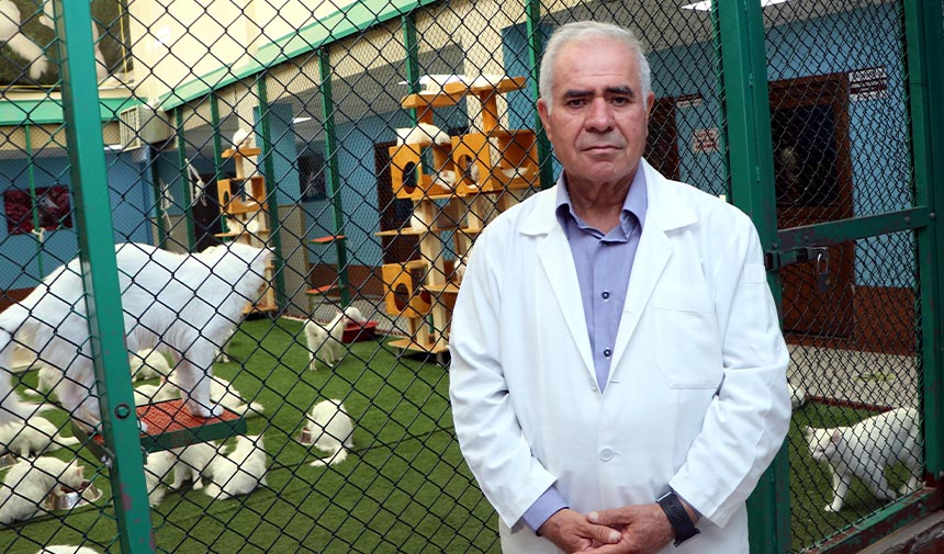 W S F E G D R H T F J G Y K H U J I K Ç Ö M