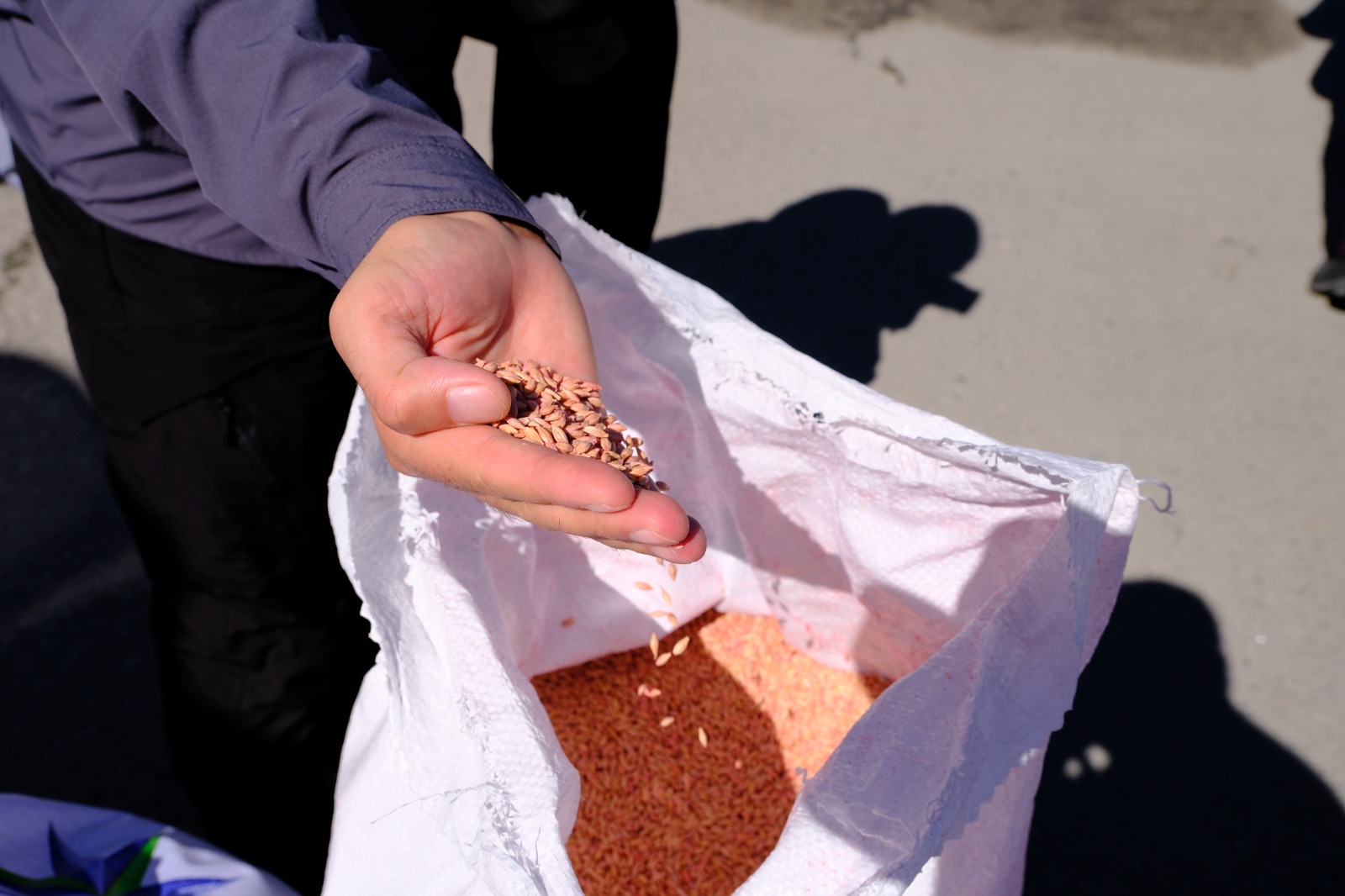 Whatsapp Image 2025 09 24 At 12.40.55 (2)