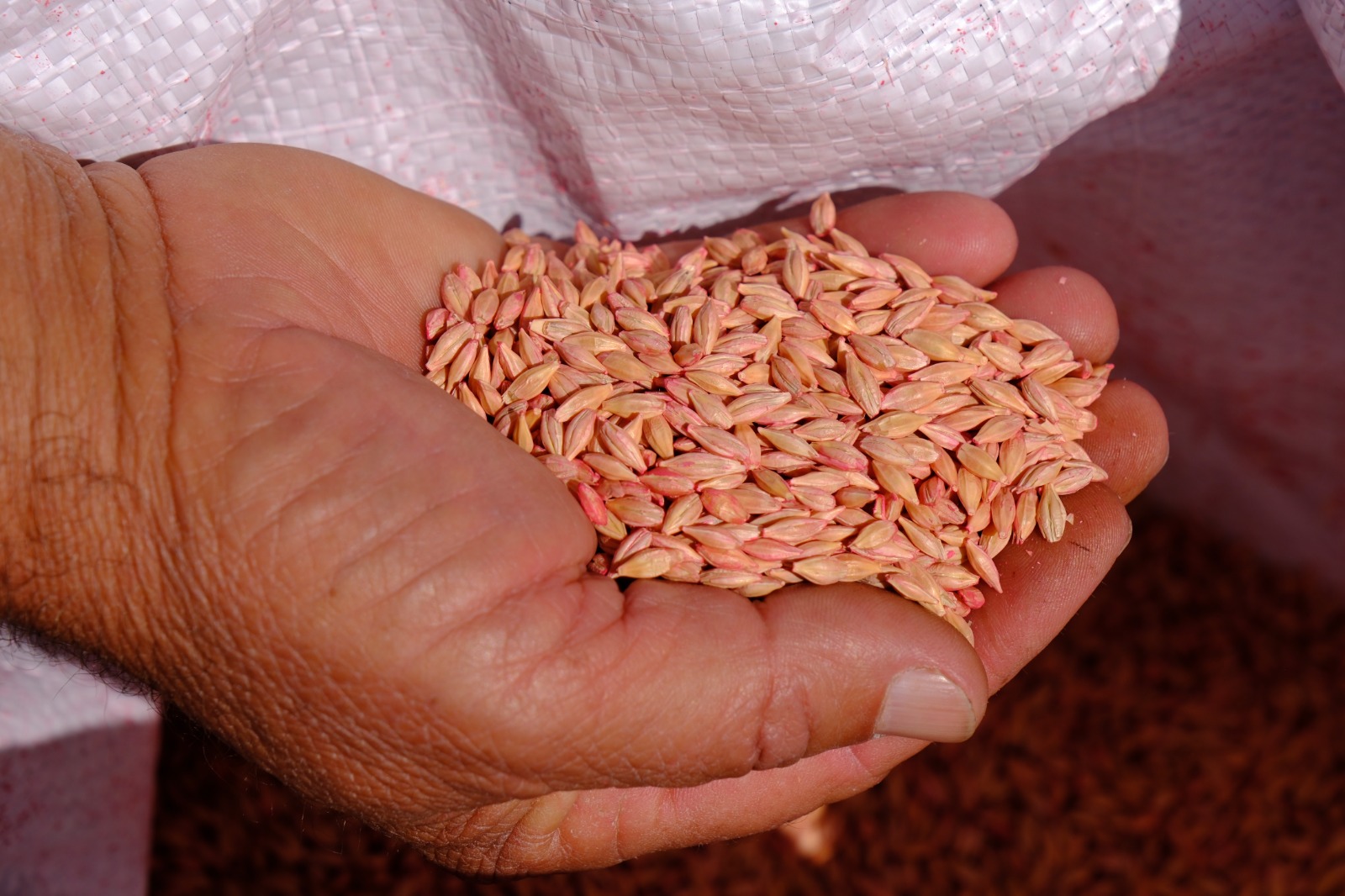 Whatsapp Image 2025 09 25 At 10.36.09