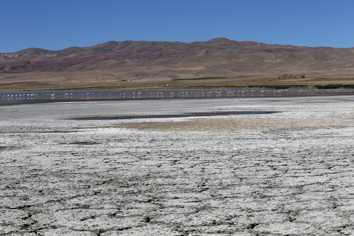 A A 20251001 39273967 39273963 K U R A K S U R E N I N U Z A M A S I N E D E N I Y L E E R C E K G O L U N U N K I Y I L A R I N D A K I C E K I L M E A R T T I