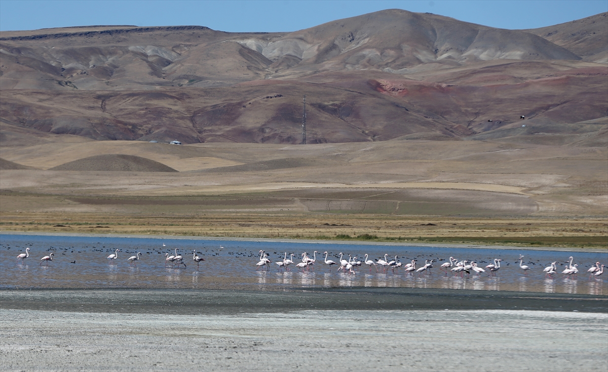 A A 20251001 39273967 39273964 K U R A K S U R E N I N U Z A M A S I N E D E N I Y L E E R C E K G O L U N U N K I Y I L A R I N D A K I C E K I L M E A R T T I