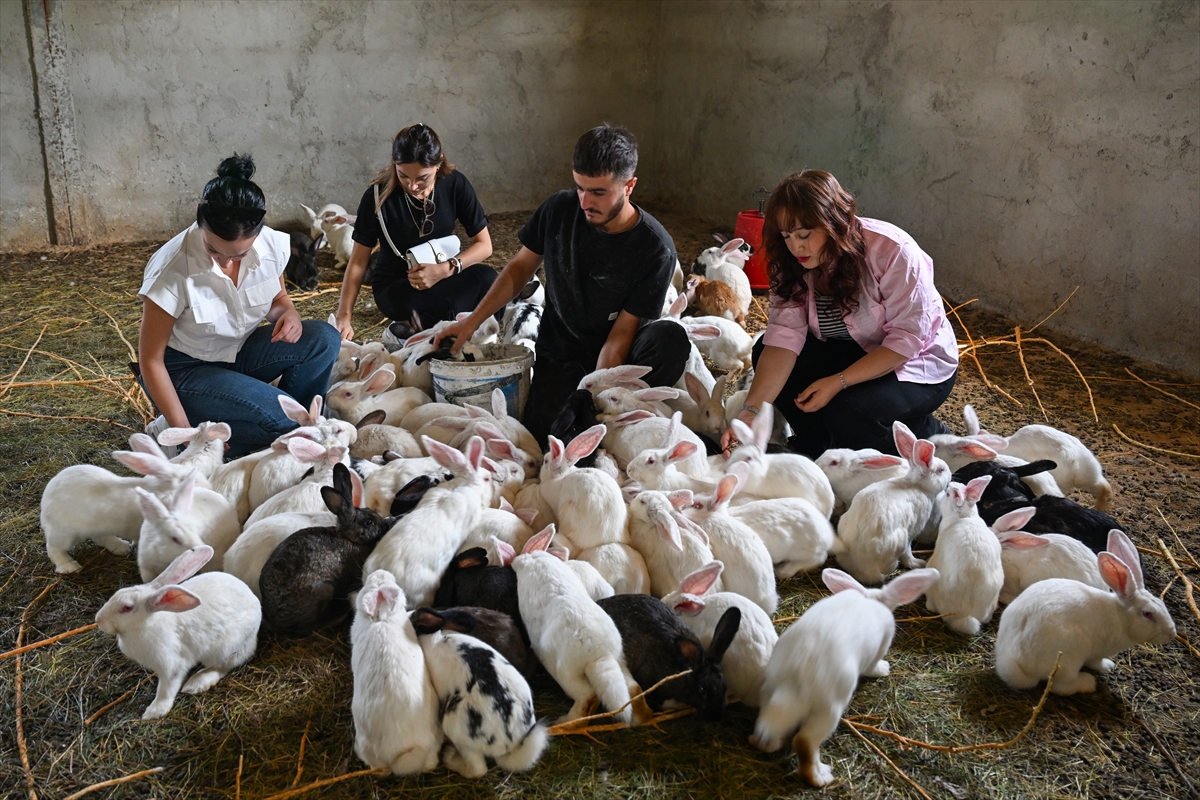 A A 20251003 39298007 39297996 V A N L I G E N C K U R D U G U C I F T L I K T E Y E N I Z E L A N D A I R K I E T L I K T A V S A N Y E T I S T I R I Y O R