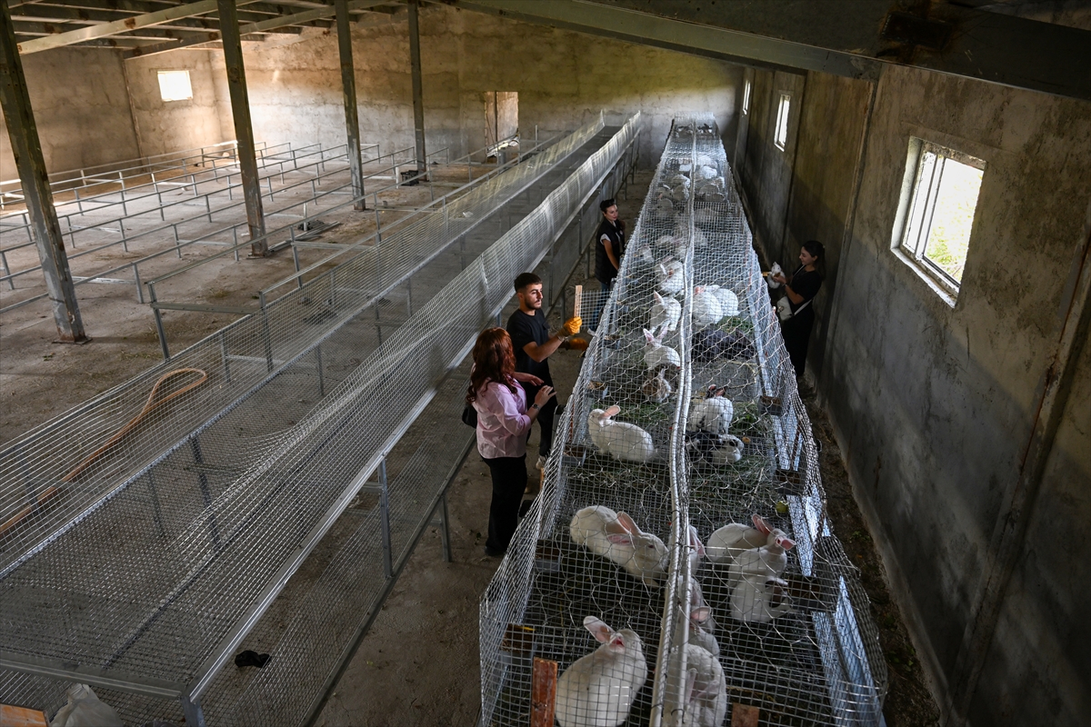 A A 20251003 39298007 39297997 V A N L I G E N C K U R D U G U C I F T L I K T E Y E N I Z E L A N D A I R K I E T L I K T A V S A N Y E T I S T I R I Y O R