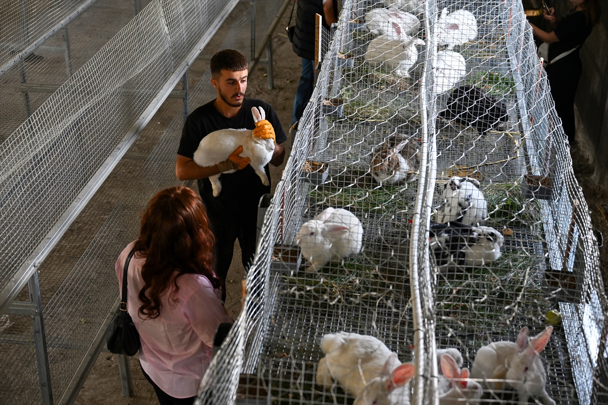 A A 20251003 39298007 39297998 V A N L I G E N C K U R D U G U C I F T L I K T E Y E N I Z E L A N D A I R K I E T L I K T A V S A N Y E T I S T I R I Y O R