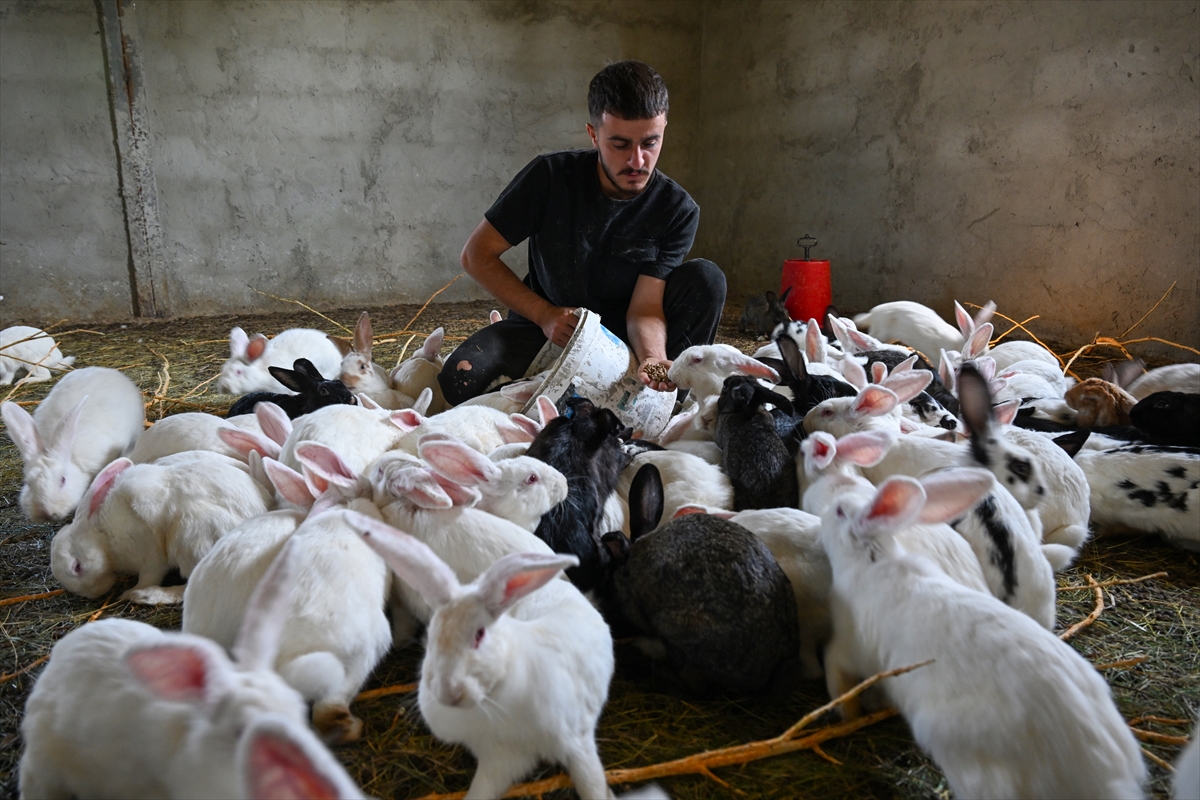 A A 20251003 39298007 39298000 V A N L I G E N C K U R D U G U C I F T L I K T E Y E N I Z E L A N D A I R K I E T L I K T A V S A N Y E T I S T I R I Y O R