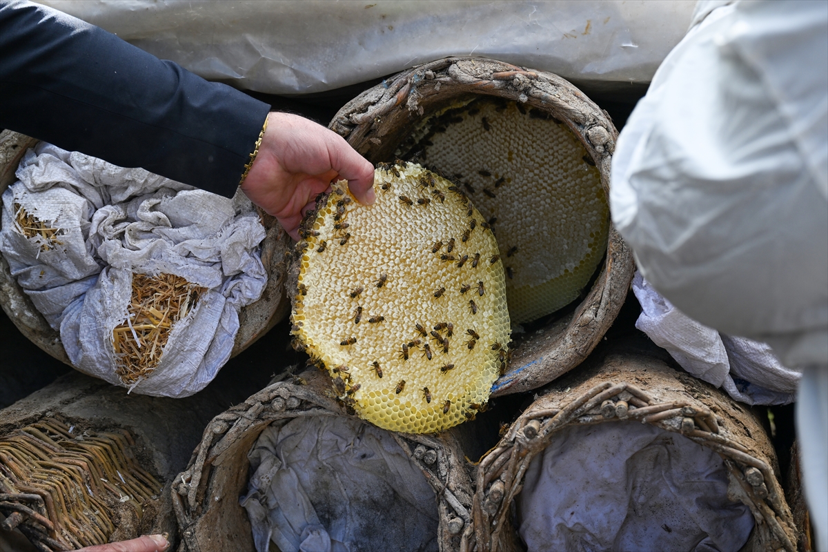 A A 20251011 39377142 39377131 V A N A G E L E N 50 K I S I L I K T U R I S T K A F I L E S I B A L H A S A D I Y A P T I