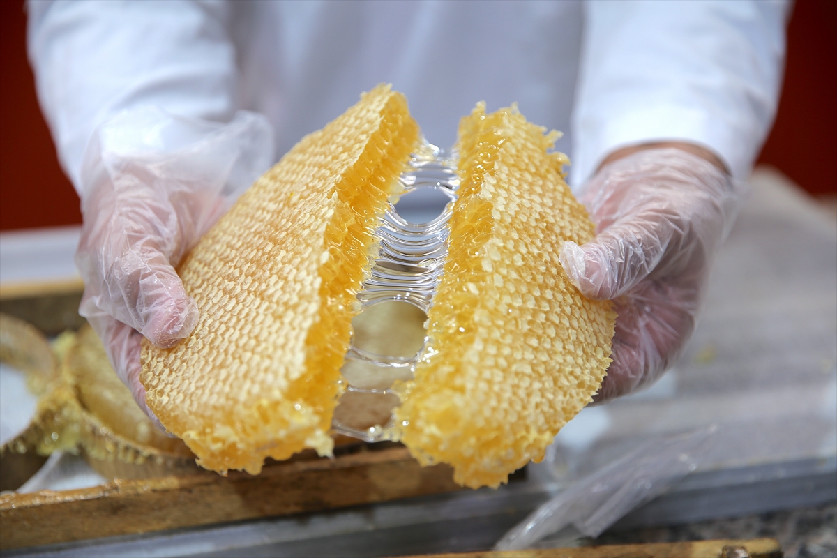 A A 20251016 39427529 39427514 D E V L E T D E S T E G I Y L E B A L T E S I S I K U R D U 20 K I S I Y E I S I M K A N I S A G L A D I