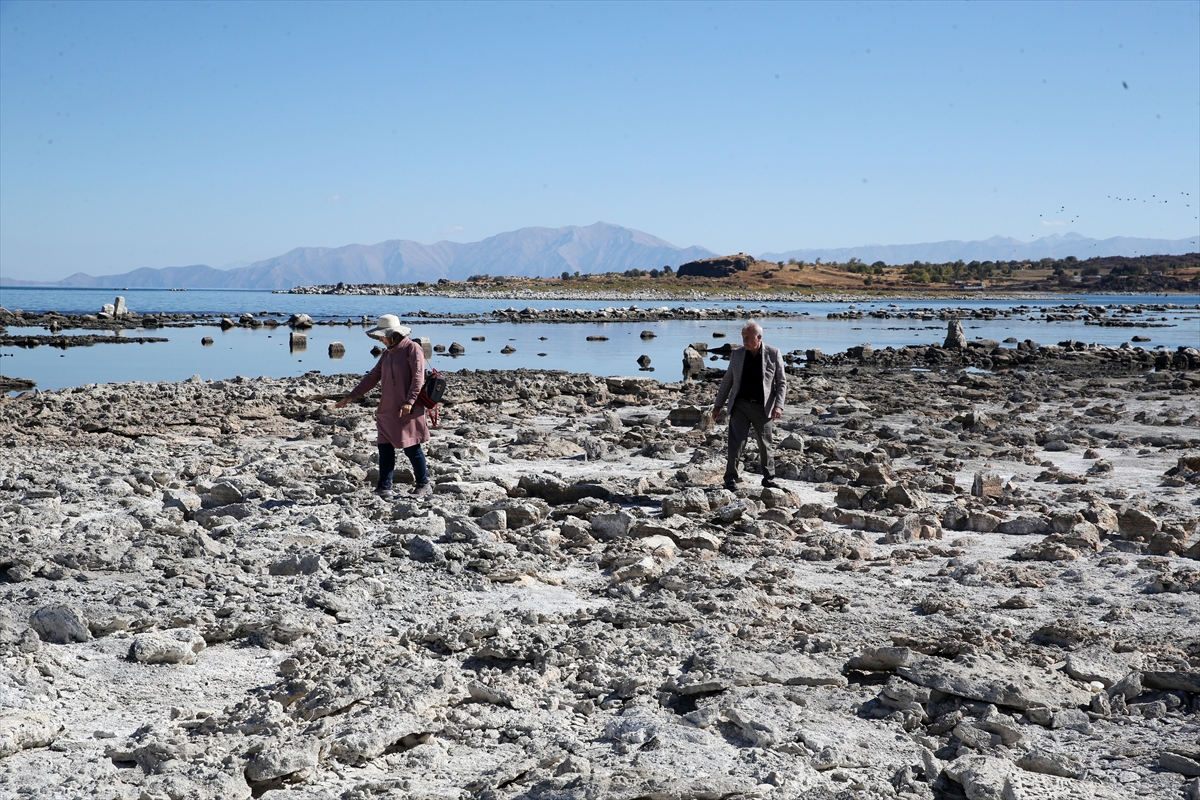 A A 20251018 39446196 39446182 S I C A K H A V A V E K U R A K L I K V A N G O L U N D E B U H A R L A S M A Y I A R T I R D I