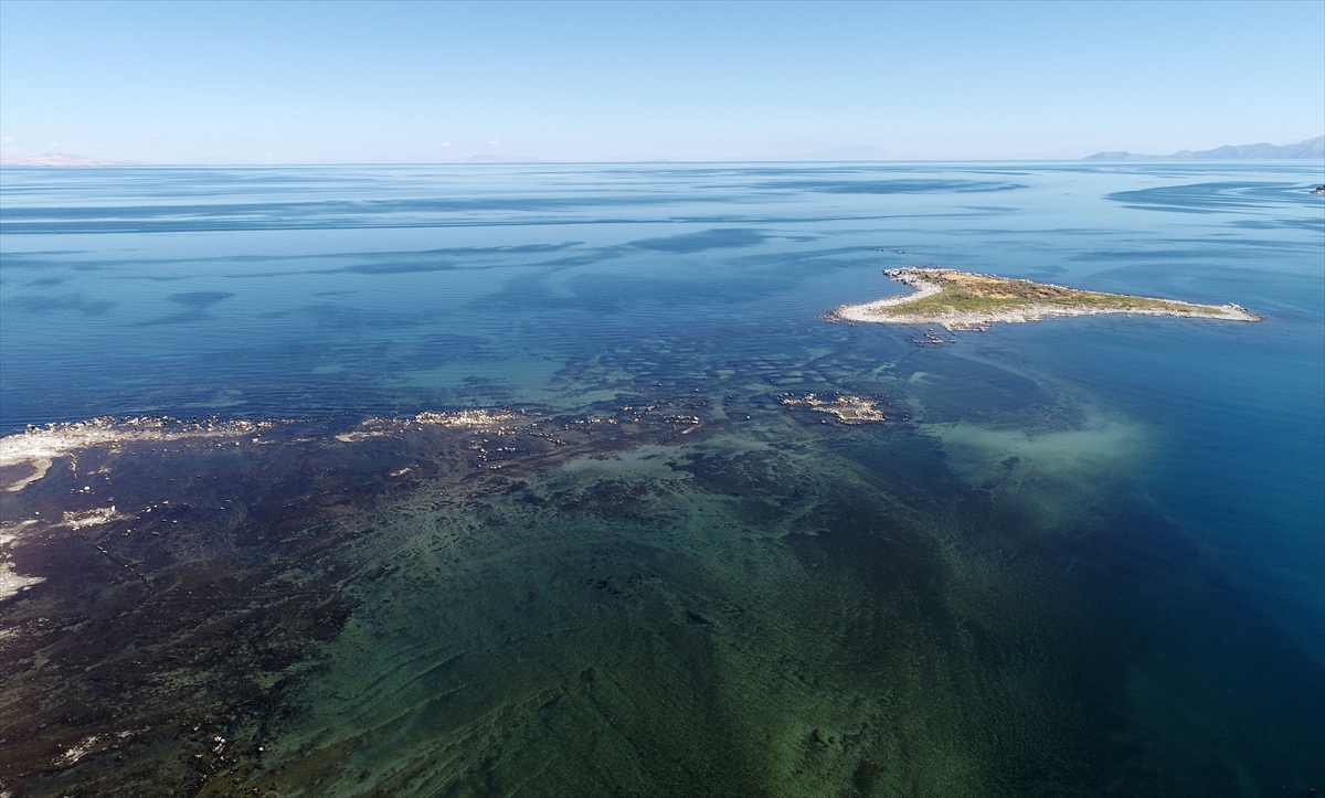 A A 20251018 39446213 39446202 S I C A K H A V A V E K U R A K L I K V A N G O L U N D E B U H A R L A S M A Y I A R T I R D I