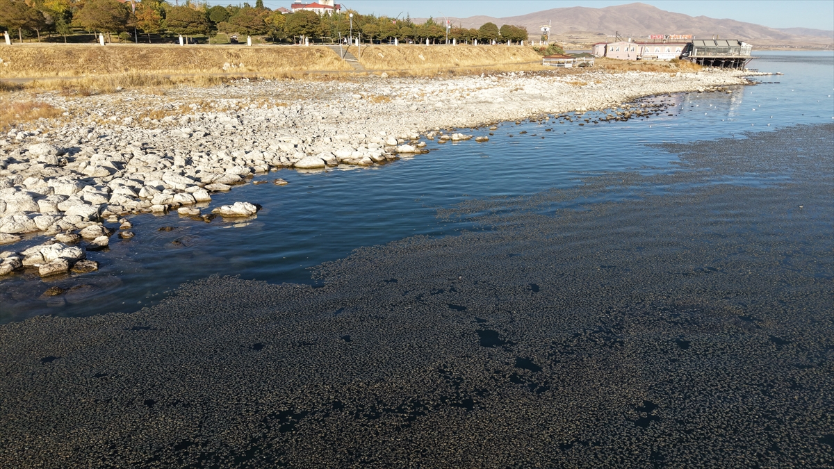 A A 20251022 39484339 39484335 V A N G O L U N D E K I Y I Y A Y A K I N B A Z I N O K T A L A R D A Y O S U N T A B A K A S I O L U S T U