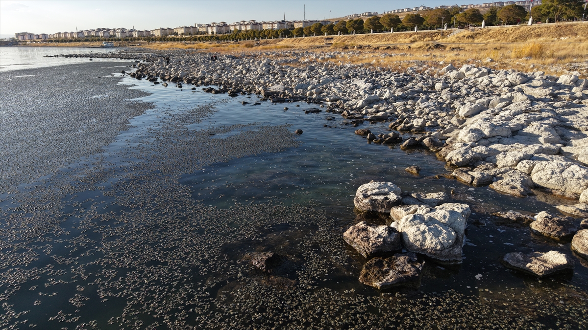 A A 20251022 39484339 39484338 V A N G O L U N D E K I Y I Y A Y A K I N B A Z I N O K T A L A R D A Y O S U N T A B A K A S I O L U S T U