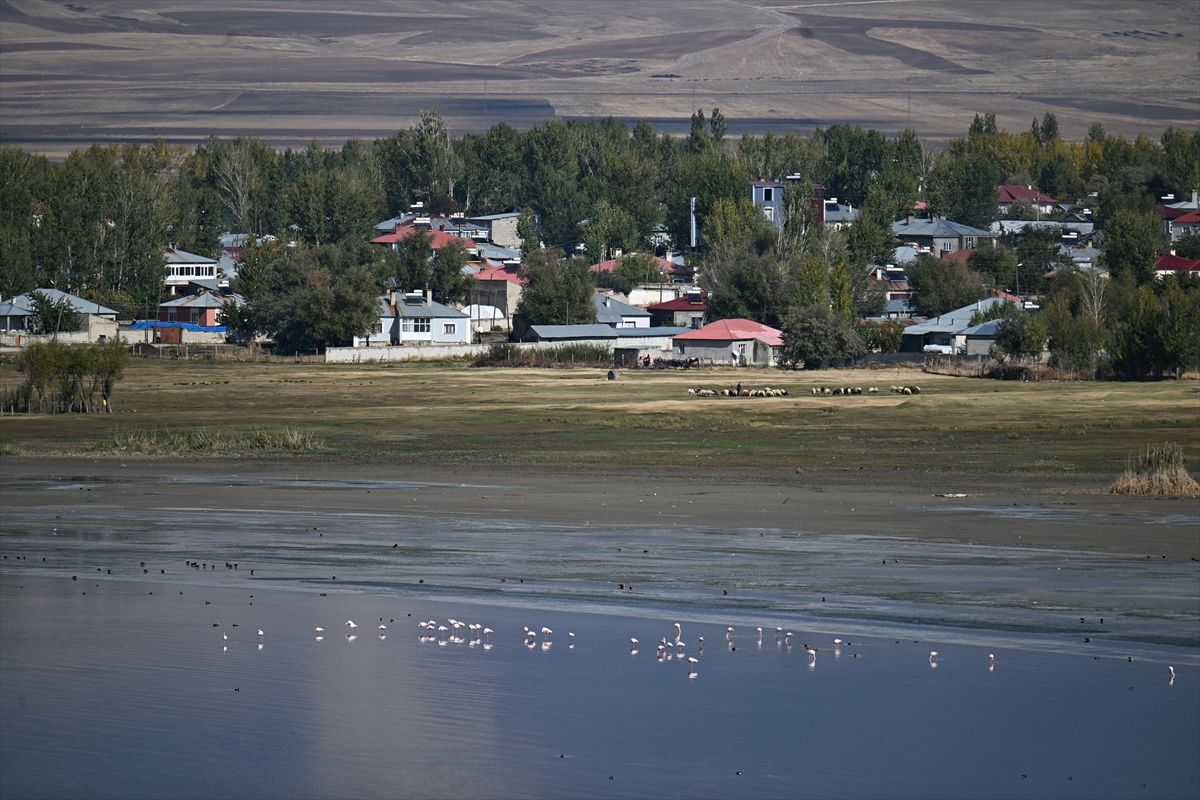 A A 20251024 39505405 39505387 V A N D A K I E R C E K G O L U 30 Y I L D A 6 K I L O M E T R E K A R E A L A N K A Y B E T T I