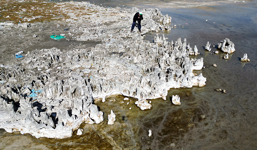 A W F E S G R D H T F J Y G H U