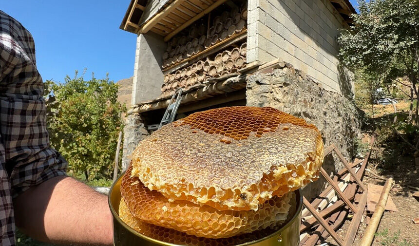 Bal Hasadı.jpg4