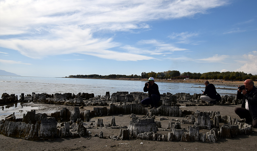 D W A E F S G R D T H F J Y G U K H