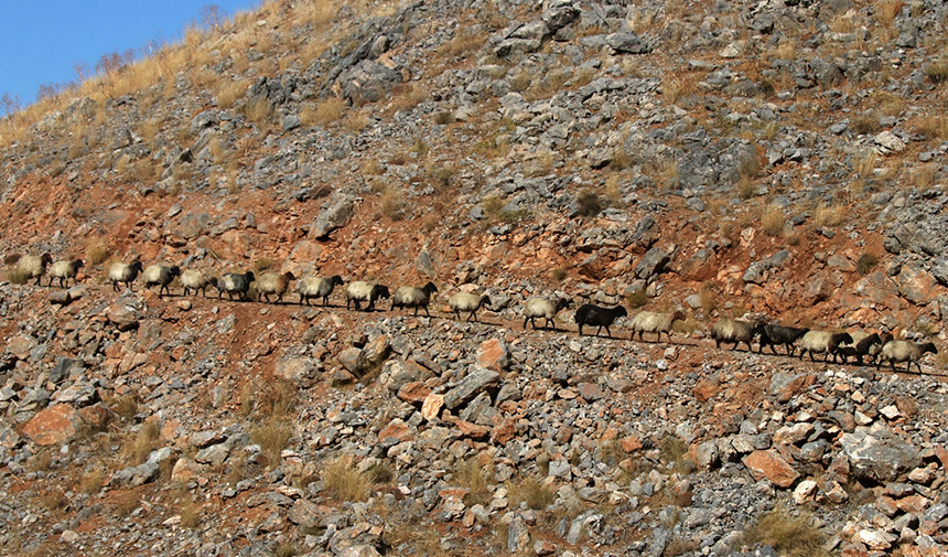 Göçerlerin Yolculuğu.jpg0