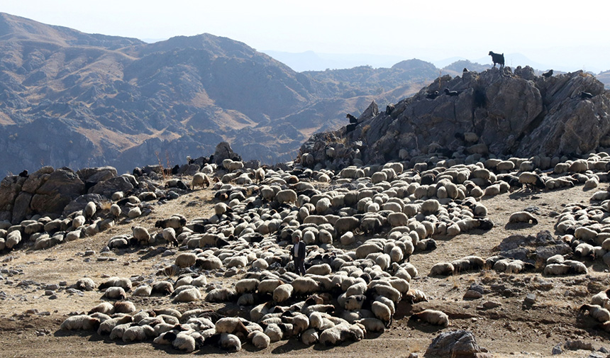 Göçerlerin Yolculuğu.jpg3