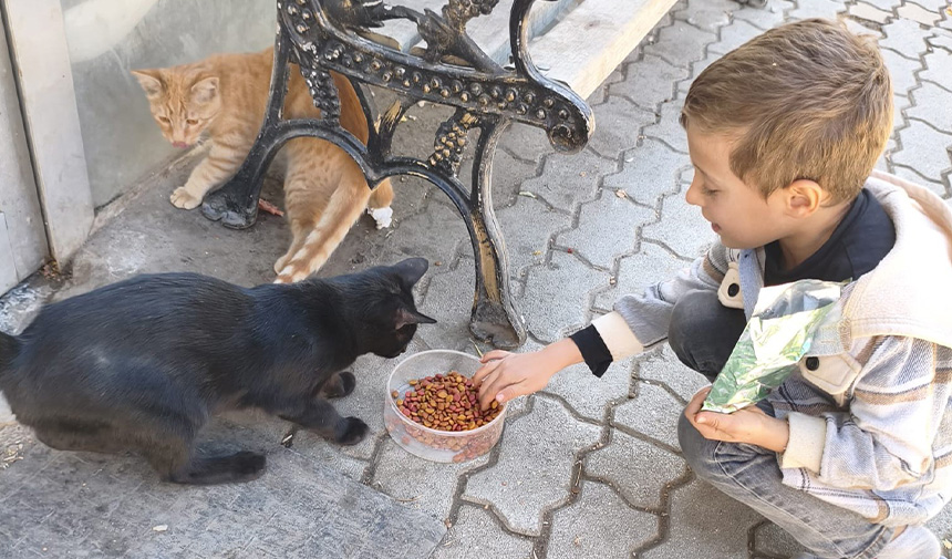 Hayvanları Koruma Günü.jpg2